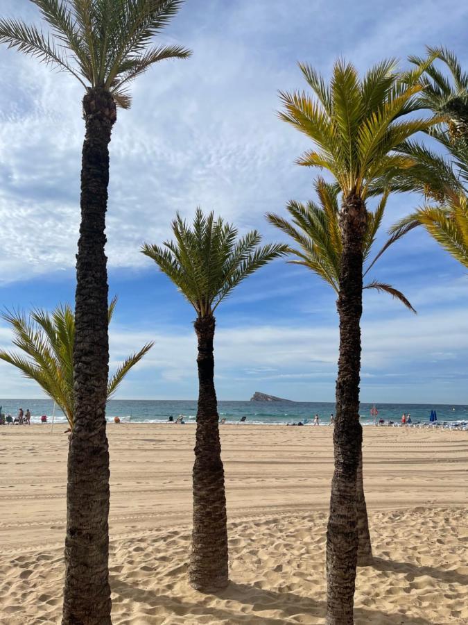 Marinapartsol 6C Lejlighed Benidorm Eksteriør billede