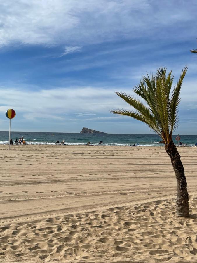 Marinapartsol 6C Lejlighed Benidorm Eksteriør billede